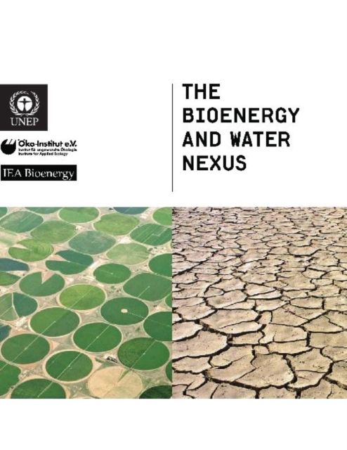 The Bioenergy and Water Nexus, Paperback / softback Book