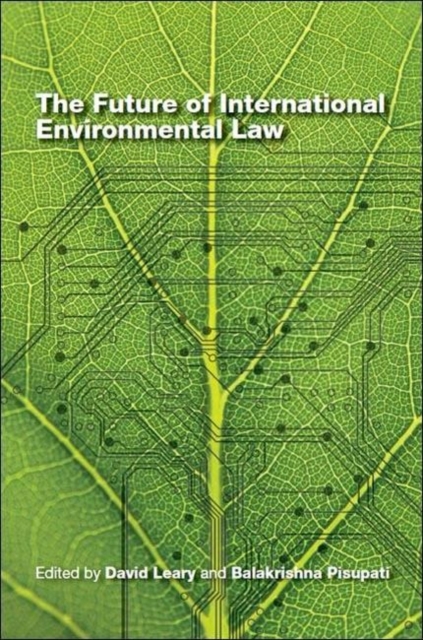 The future of international environmental law, Paperback / softback Book