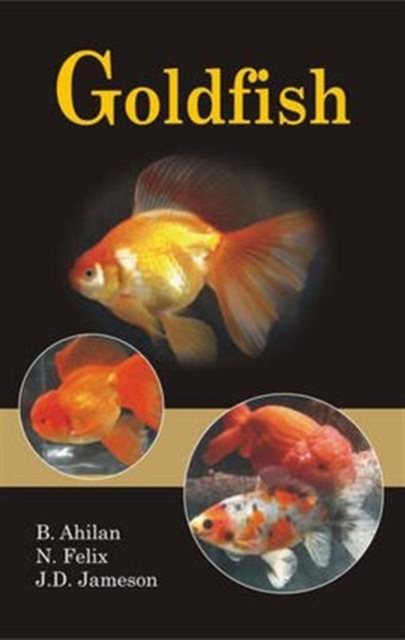 Goldfish, Hardback Book