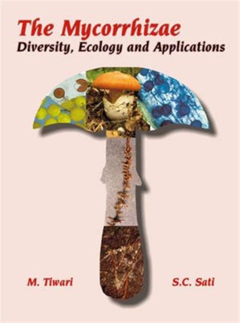 Mycorrhizae: Diversity Ecology and Applications, Hardback Book