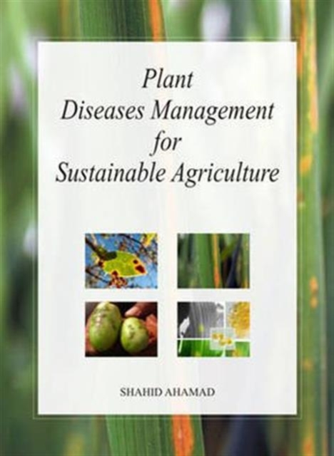 Plant Diseases Management for Sustainable Agriculture, Hardback Book