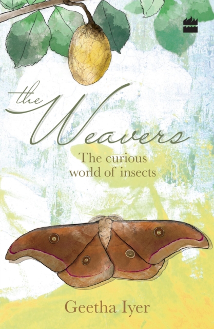 The Weavers : The Curious World of Insects, Paperback / softback Book
