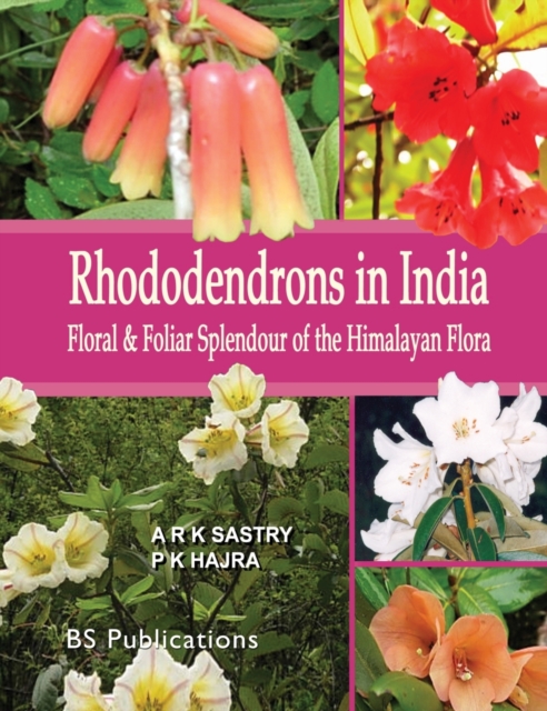 Rhododendrons in India : Floral & Foliar Splendour of the Himalayan Flora, Hardback Book