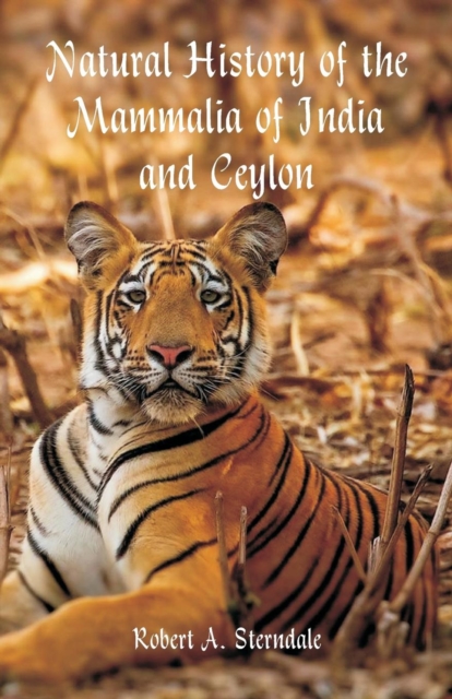 Natural History of the Mammalia of India and Ceylon, Paperback / softback Book