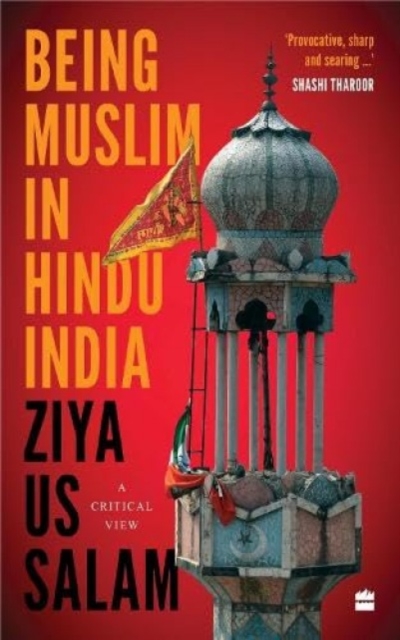 Being Muslim in Hindu India : A Critical View, Paperback / softback Book