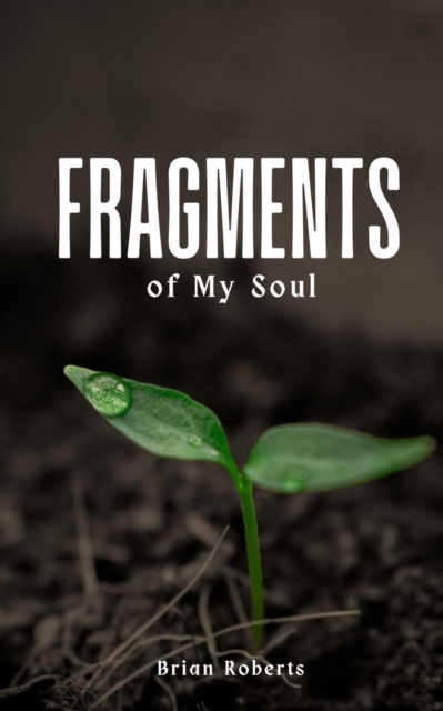 Fragments of My Soul, Paperback / softback Book