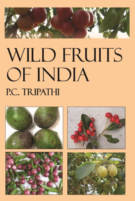 Wild Fruits of India, Paperback / softback Book