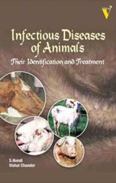 Infectious Diseases of Animals Their Identification and Treatment, Hardback Book