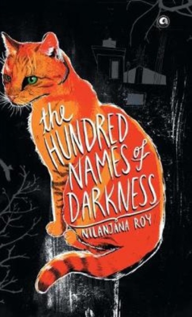 The Hundred Names of Darkness, Hardback Book