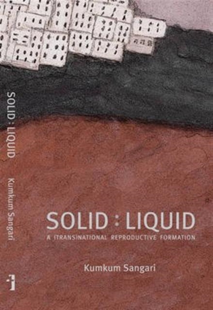 Solid:Liquid – a (trans)national reproductive formation, Hardback Book