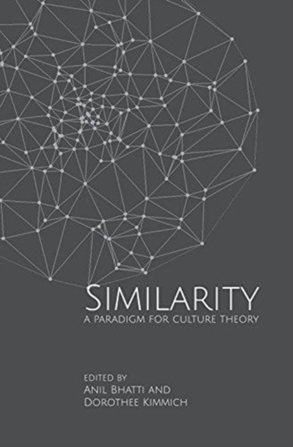 Similarities – A Paradigm for Culture Theory, Hardback Book