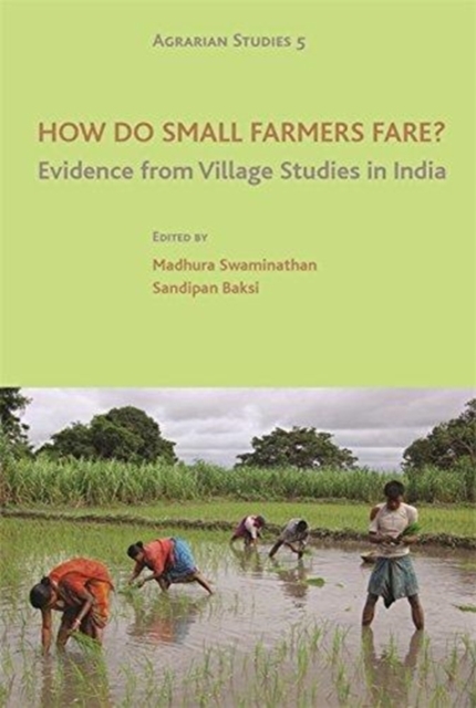 How Do Small Farmers Fare? – Evidence from Village Studies in India, Hardback Book