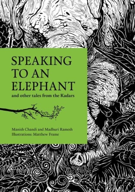 Speaking to an Elephant : and Other Tales from the Kadars, Paperback / softback Book