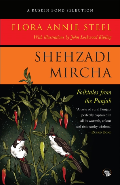 Shehzadi Mircha : Folktales from the Punjab, EPUB eBook