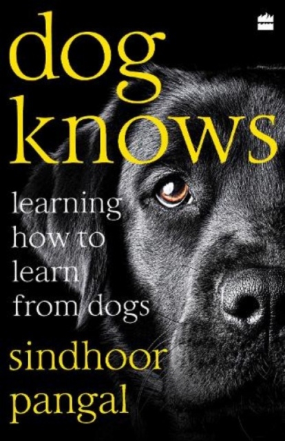 Dog Knows : Learning How to Learn from Dogs, Paperback / softback Book
