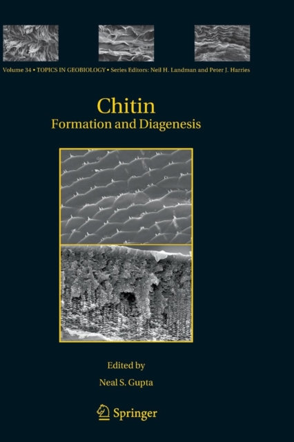 Chitin : Formation and Diagenesis, Paperback / softback Book