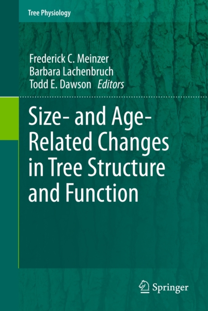Size- and Age-Related Changes in Tree Structure and Function, Paperback / softback Book