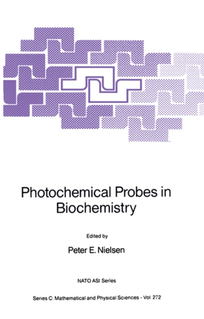 Photochemical Probes in Biochemistry, PDF eBook