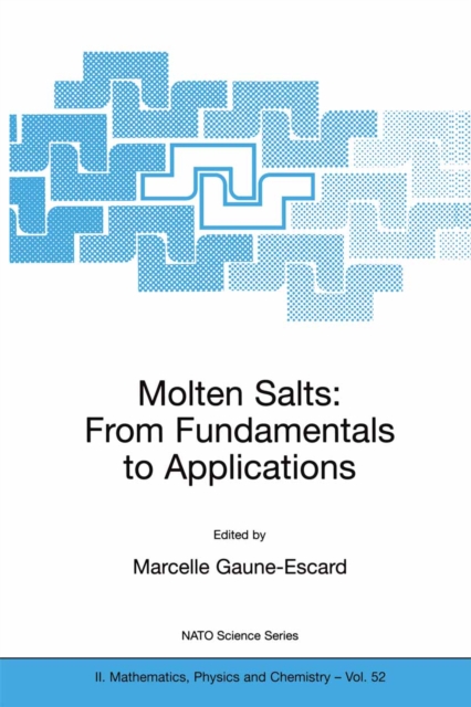 Molten Salts : From Fundamentals to Applications, PDF eBook
