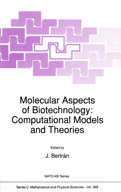 Molecular Aspects of Biotechnology: Computational Models and Theories, Paperback / softback Book