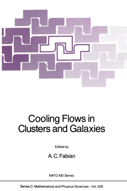 Cooling Flows in Clusters and Galaxies, Paperback / softback Book