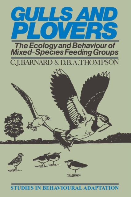 Gulls and Plovers : The Ecology and Behaviour of Mixed-Species Feeding Groups, Paperback / softback Book