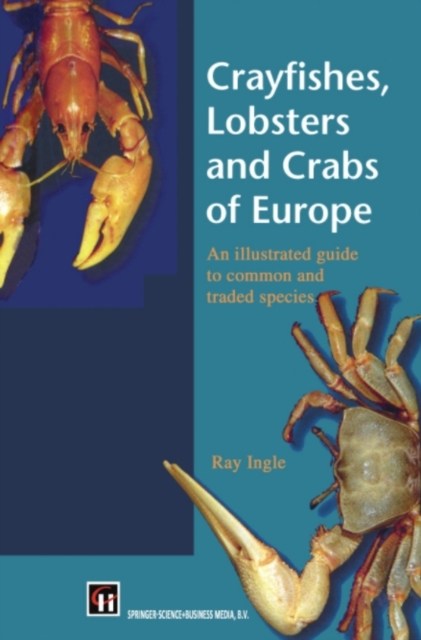 Crayfishes, Lobsters and Crabs of Europe : An Illustrated Guide to common and traded species, PDF eBook
