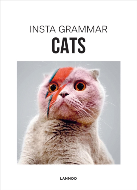 Insta Grammar: Cats, Hardback Book