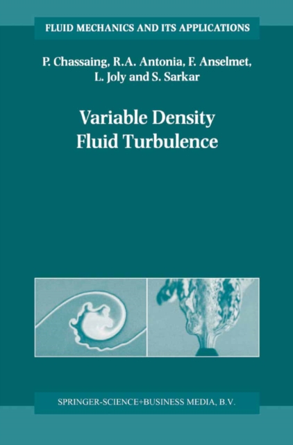 Variable Density Fluid Turbulence, PDF eBook
