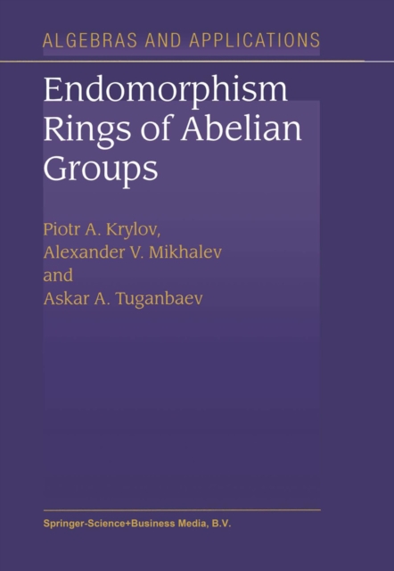 Endomorphism Rings of Abelian Groups, PDF eBook