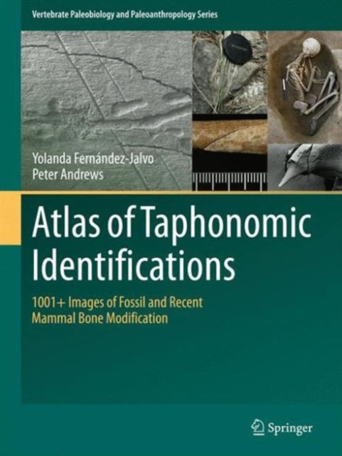 Atlas of Taphonomic Identifications : 1001+ Images of Fossil and Recent Mammal Bone Modification, Hardback Book