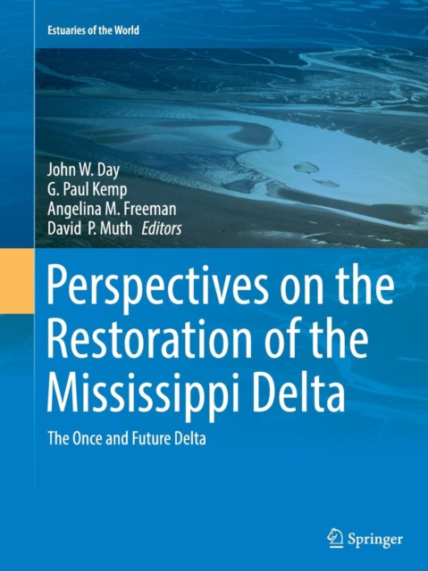 Perspectives on the Restoration of the Mississippi Delta : The Once and Future Delta, Paperback / softback Book