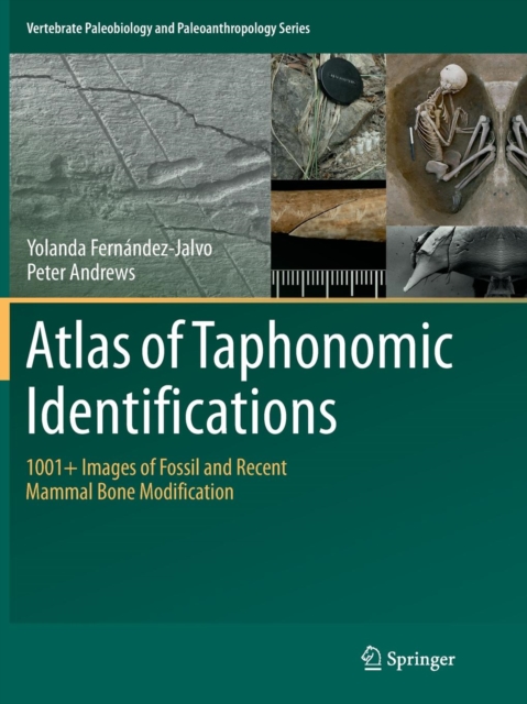 Atlas of Taphonomic Identifications : 1001+ Images of Fossil and Recent Mammal Bone Modification, Paperback / softback Book