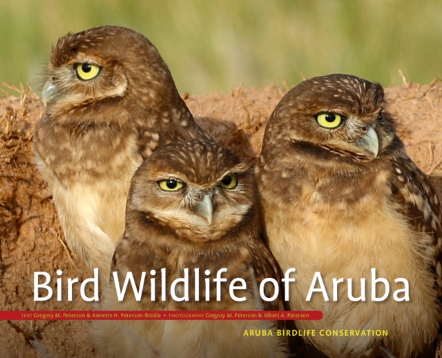 Bird Wildlife of Aruba, Hardback Book