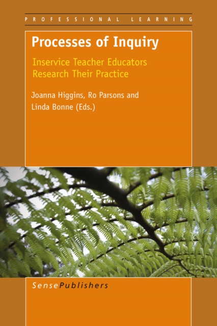 Processes of Inquiry : Inservice Teacher Educators Research Their Practice, PDF eBook