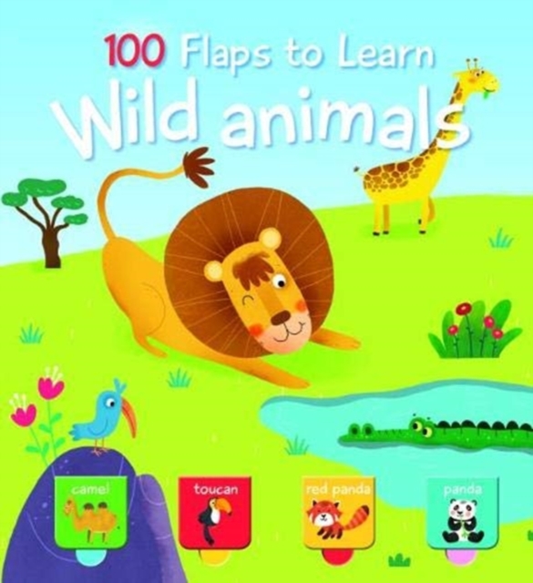 100 Flaps to Learn: Wild Animals, Hardback Book