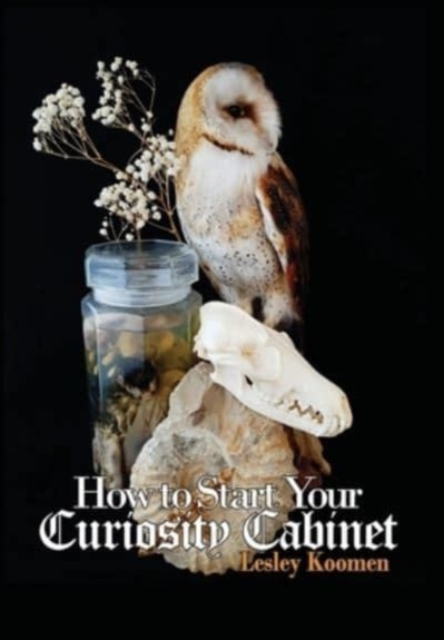 How to Start Your Curiosity Cabinet, Hardback Book
