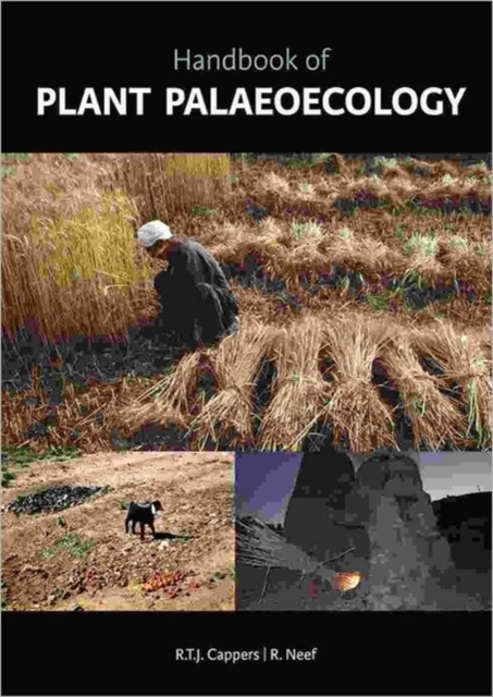 Handbook of Plant Palaeoecology, Hardback Book