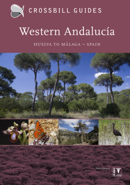 Western Andalucia : From Huelva to Malaga I, Paperback / softback Book