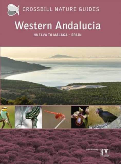 Western Andalucia : Spain, Paperback / softback Book