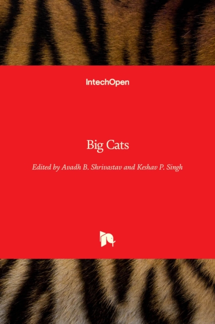 Big Cats, Hardback Book