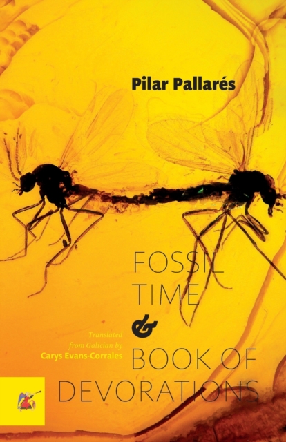 Fossil Time and Book of Devorations, Paperback / softback Book