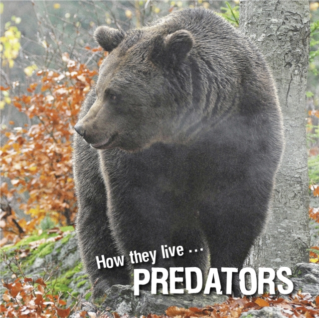 How they live... Predators, EPUB eBook