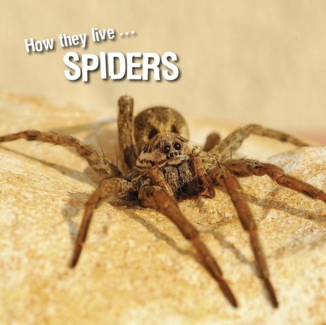 How they live... Spiders, EPUB eBook