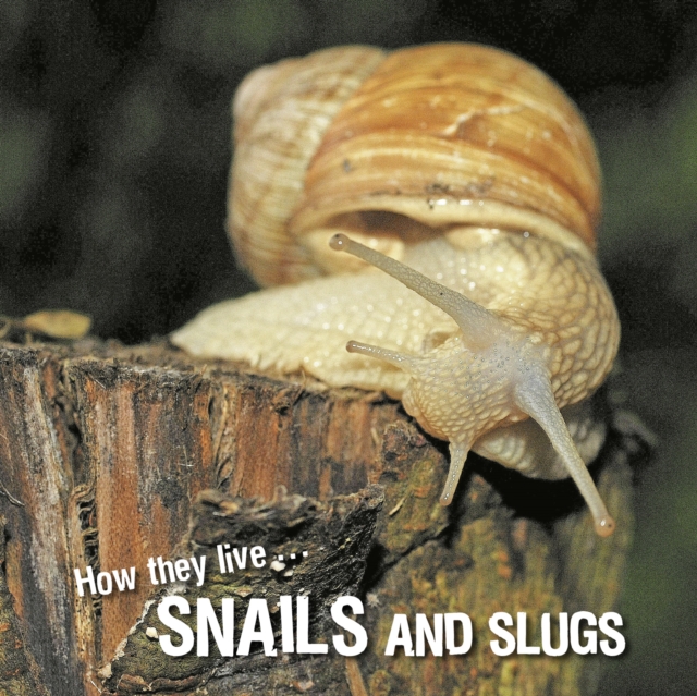 How they live... Snails and Slugs, EPUB eBook