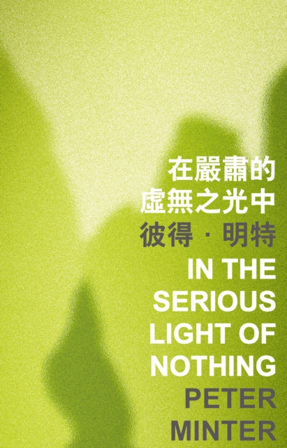 In the Serious Light of Nothing, PDF eBook