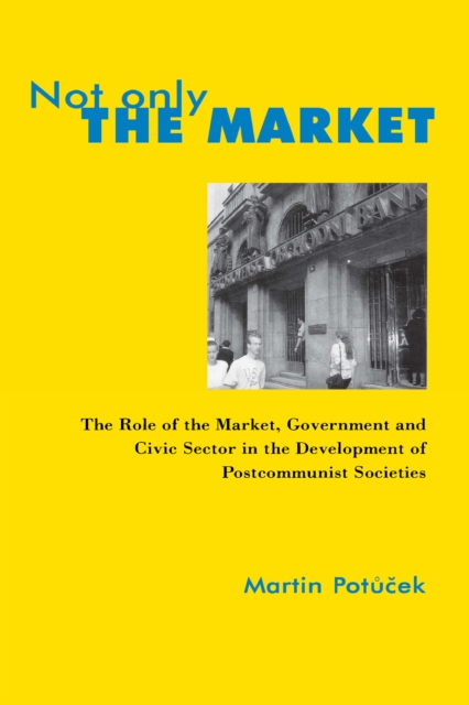 Not Only the Market, PDF eBook