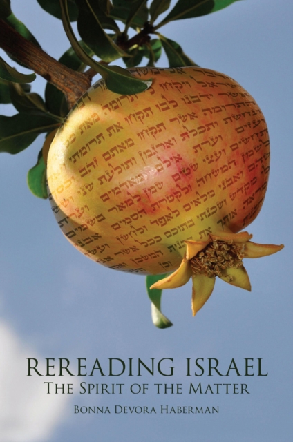 Rereading Israel : The Spirit of the Matter, Hardback Book