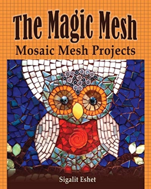 The Magic Mesh - Mosaic Mesh Projects, Paperback / softback Book
