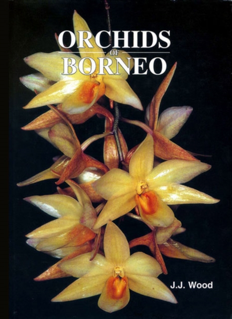 Orchids of Borneo Volume 3, Hardback Book
